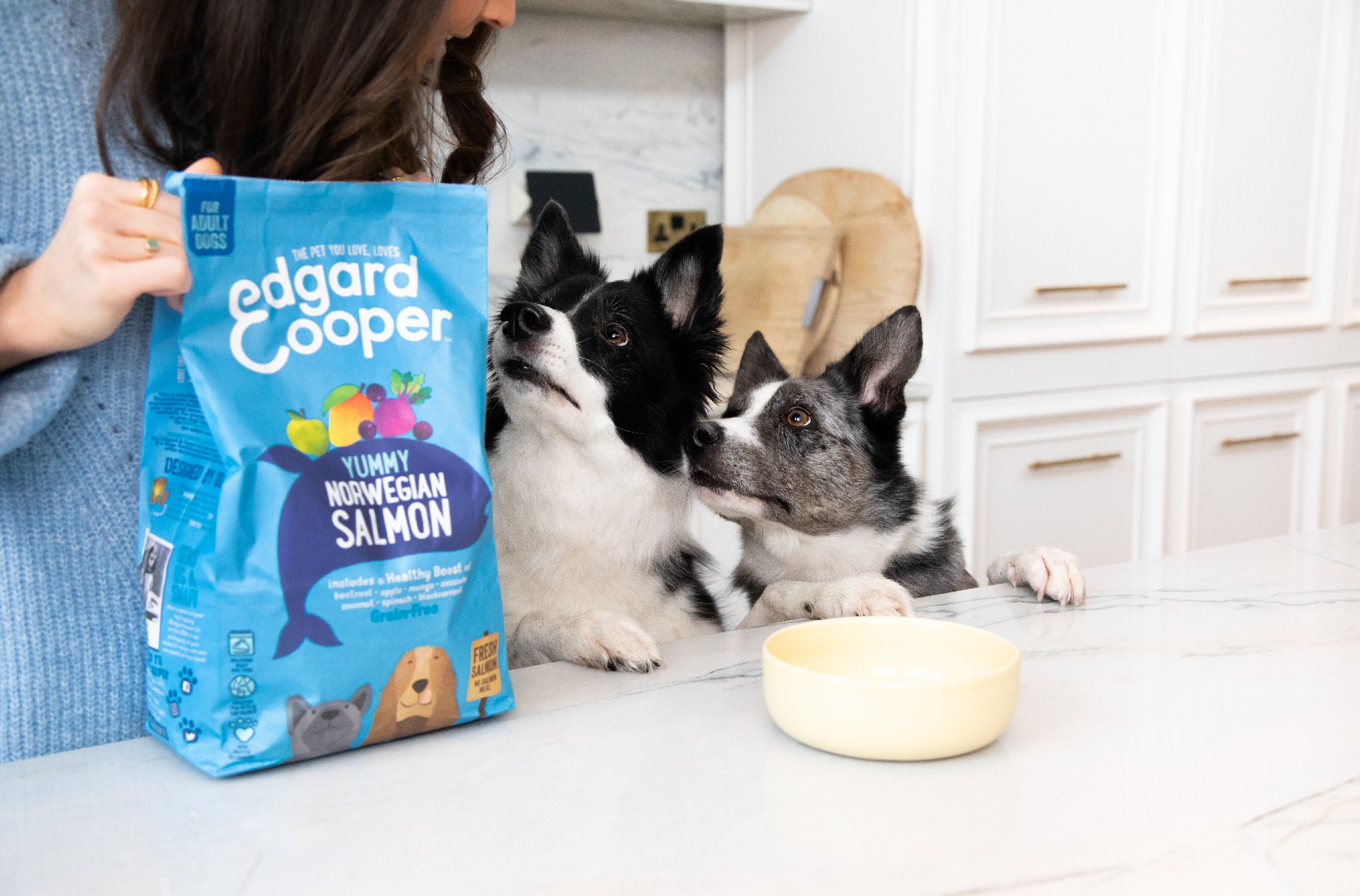 Illustration de l'article : Etes-vous sûr d’apporter un bon équilibre nutritionnel à votre chien ? Découvrez comment y parvenir !