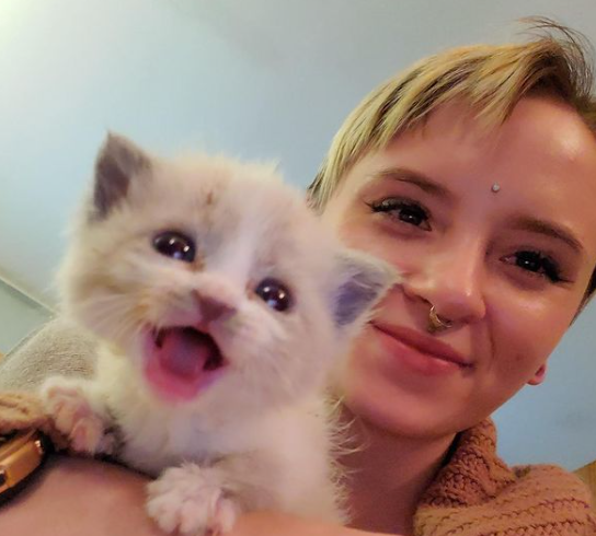 La Photo Immortalisant La Bonne Humeur De Ce Chaton Devient Virale Et Redonne Le Sourire Aux Internautes La Photo Immortalisant La Bonne Humeur De Ce Chaton Devient Virale Et Redonne Le Sourire Aux Internautes