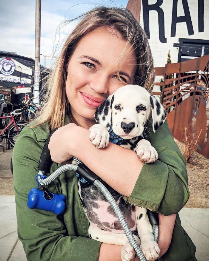 Illustration de l'article : 20 photos adorables d’un Dalmatien qui a le cœur sur le nez !