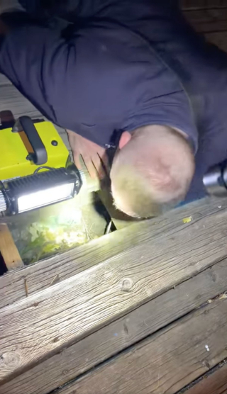 Illustration de l'article : Des pompiers deviennent les héros d'un chiot de 5 mois piégé sous le plancher d'une maison (vidéo)