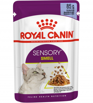 Illustration de l'article : Royal Canin ravit les sens des chats avec sa nouvelle gamme d’aliments humides Sensory
