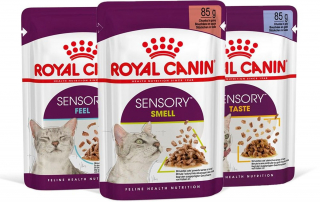 Illustration de l'article : Royal Canin ravit les sens des chats avec sa nouvelle gamme d’aliments humides Sensory