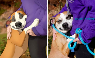 Illustration de l'article : 11 photos d'animaux de compagnie transformés en adorables personnages Disney