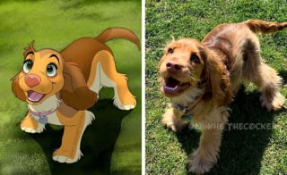 Illustration de l'article : 11 photos d'animaux de compagnie transformés en adorables personnages Disney
