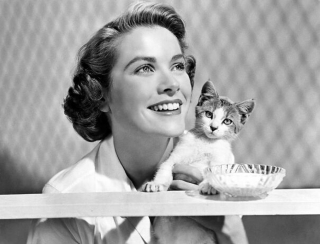 Illustration de l'article : 20 photos en noir et blanc de célébrités en compagnie de chats