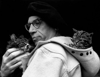 Illustration de l'article : 20 photos en noir et blanc de célébrités en compagnie de chats