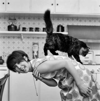 Illustration de l'article : 20 photos en noir et blanc de célébrités en compagnie de chats