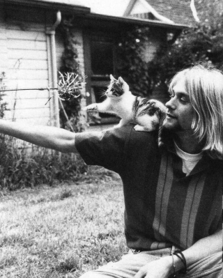 Illustration de l'article : 20 photos en noir et blanc de célébrités en compagnie de chats