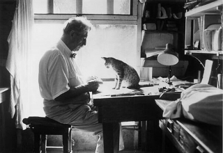 Illustration de l'article : 20 photos en noir et blanc de célébrités en compagnie de chats