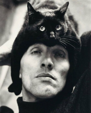 Illustration de l'article : 20 photos en noir et blanc de célébrités en compagnie de chats