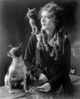 Illustration de l'article : 20 photos en noir et blanc de célébrités en compagnie de chats