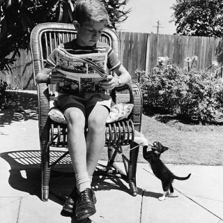 Illustration de l'article : 16 photos vintage immortalisant la beauté des chats