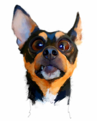 Illustration de l'article : 20 chiens charismatiques qui ont inspiré un caricaturiste