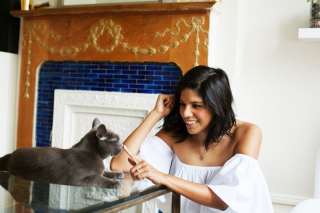 Illustration de l'article : Ces 12 femmes et leurs chats partagent leur belle histoire