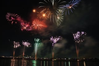 Illustration de l'article : Réveillon du Nouvel an 2022 : attention aux feux d'artifice et au stress engendré pour vos animaux