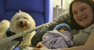 Illustration de l'article : Une femme de 24 ans est la première au Royaume-Uni à avoir accouché à l'hôpital avec son chien d'assistance 