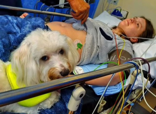 Illustration de l'article : Une femme de 24 ans est la première au Royaume-Uni à avoir accouché à l'hôpital avec son chien d'assistance 
