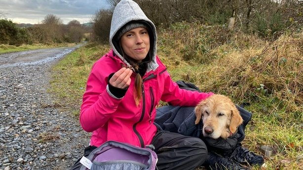 Illustration de l'article : Un chien perdu dans les montagnes pendant 2 semaines survit miraculeusement et retrouve ses propriétaires grâce à un couple de médecins  