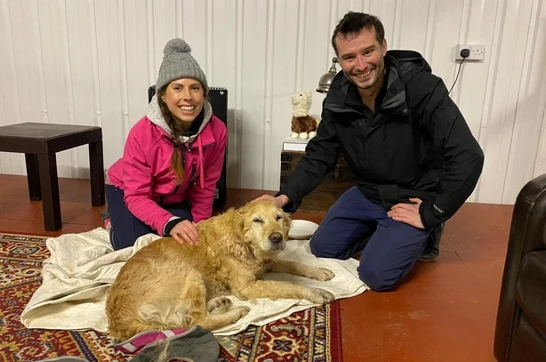 Illustration de l'article : Un chien perdu dans les montagnes pendant 2 semaines survit miraculeusement et retrouve ses propriétaires grâce à un couple de médecins  