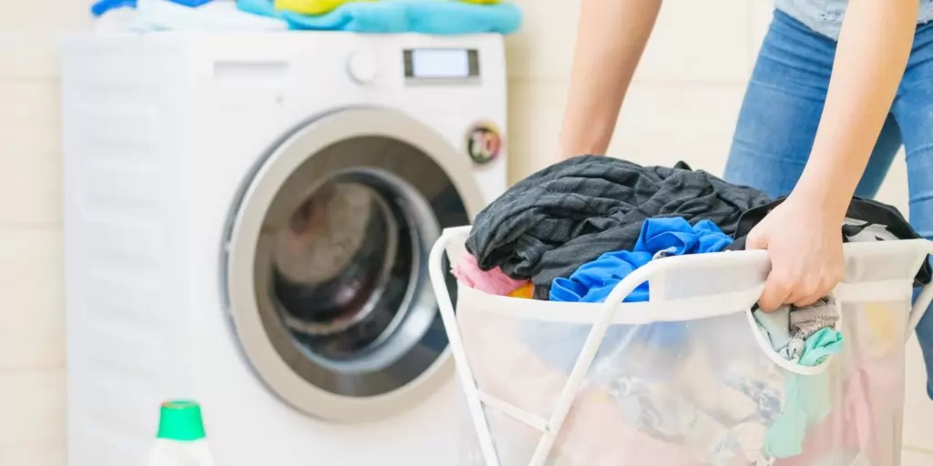 Illustration de l'article : 10 astuces pour garder votre maison propre en présence d'animaux de compagnie