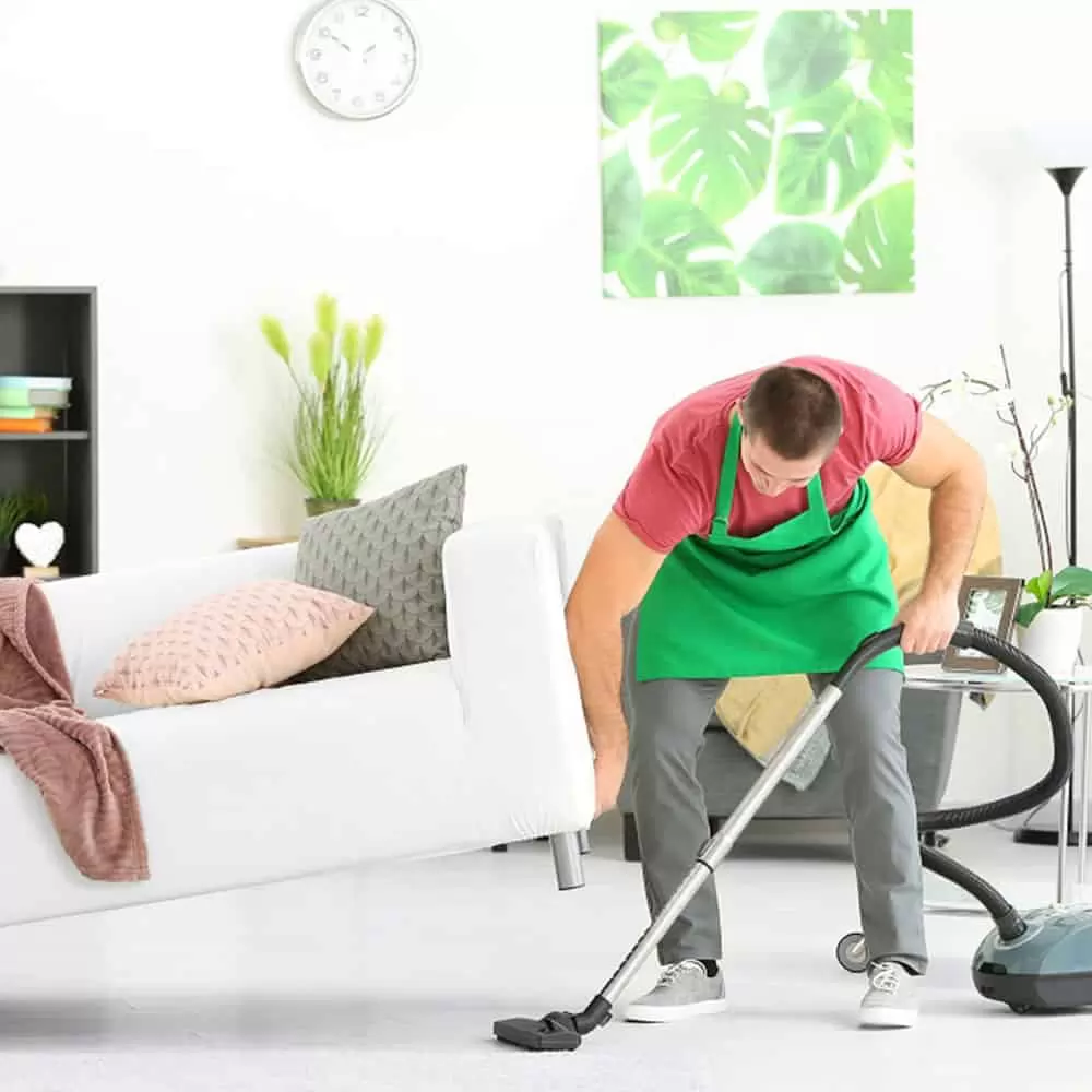 Illustration de l'article : 10 astuces pour garder votre maison propre en présence d'animaux de compagnie