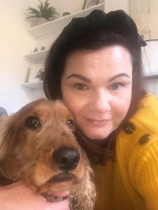 Illustration de l'article : Une femme brisée par l’obligation de faire adopter son chien le retrouve sur Facebook