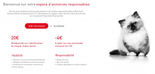 Donner Son Chaton Que Dit La Loi