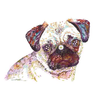 Illustration de l'article : 20 jolies peintures à l'aquarelle représentant des animaux composés de motifs floraux