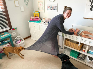 Illustration de l'article : 15 photos montrant à quel point nos compagnons à 4 pattes peuvent être drôles