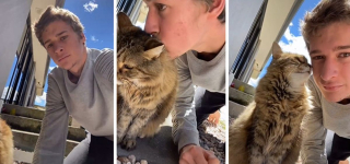 Illustration de l'article : 20 réactions mignonnes et amusantes d'animaux après avoir reçu un baiser inattendu