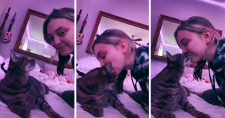 Illustration de l'article : 20 réactions mignonnes et amusantes d'animaux après avoir reçu un baiser inattendu