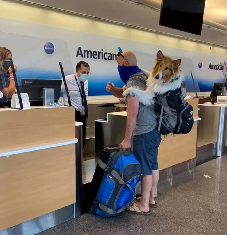 https://www.woopets.fr/assets/ckeditor/2021/jul/all/11700/xl/223447429_257480045847961_3938027613727219342_n.jpg