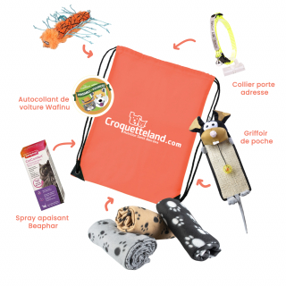 Illustration de l'article : Partir en vacances avec son animal de compagnie ? C'est facile grâce au kit élaboré par Croquetteland