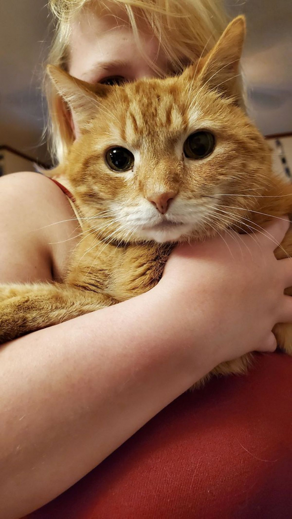 20 photos de chats seniors qui ont beaucoup d'amour à donner