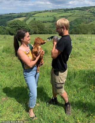 Illustration de l'article : L'adorable vidéo d'une chienne et d'un canard devenus les meilleurs amis du monde
