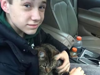 Illustration de l'article : Un adolescent choqué de voir un chat éjecté hors d'une camionnette, lui vient en aide
