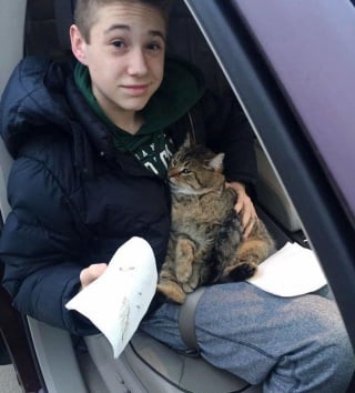 Illustration de l'article : Un adolescent choqué de voir un chat éjecté hors d'une camionnette, lui vient en aide