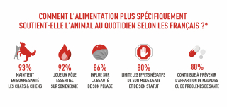Illustration de l'article : Royal Canin met en lumière la possession responsable et le bien-être animal en France