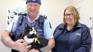 Illustration de l'article : Un policier intervient auprès d'un chat étouffant dans une boîte de conserve