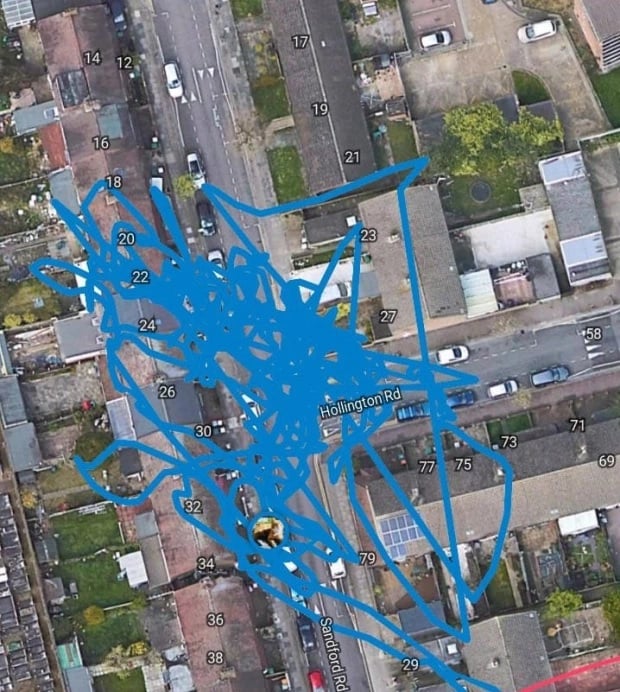 Illustration de l'article : Un rat vole le traceur GPS d'un chat et entraîne son propriétaire dans une course-poursuite au coeur des égouts