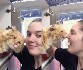 Illustration de l'article : 19 photos prouvant que nos compagnons à 4 pattes auront toujours besoin de nous