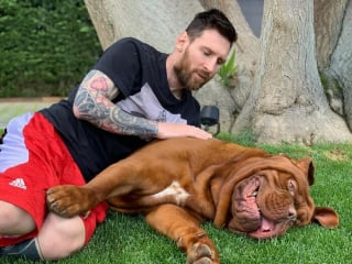 Illustration de l'article : Découvrez 20 photos de célébrités qui aiment les chiens