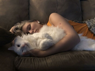 Illustration de l'article : 20 photos de chats aux fourrures les plus duveteuses de tous les temps