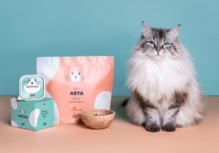 Illustration de l'article : Les avis Japhy plébiscitent la marque française qui étend son concept d’alimentation saine et personnalisée aux chats
