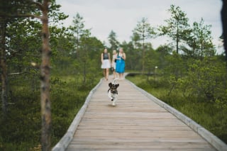 Illustration de l'article : TWiP, une application pratique qui recense les lieux accessibles et autorisés aux chiens