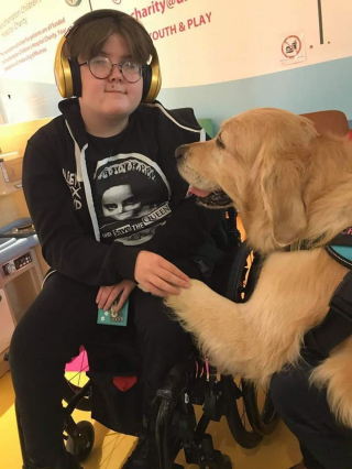 Illustration de l'article : Une équipe de chiens de thérapie a pour mission d'apaiser les enfants hospitalisés