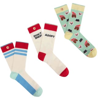 Illustration de l'article : Cabaïa renouvelle son soutien à la SPA pour la 4e année consécutive avec ses chaussettes « Les Inséparables »