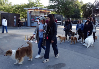 Illustration de l'article : Une Marche de l'Animal en ville pour remettre 10 propositions concrètes à l'Assemblée nationale