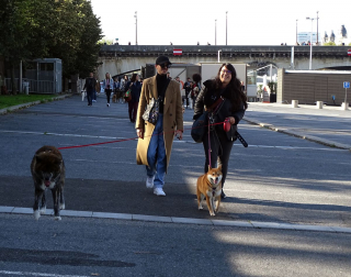 Illustration de l'article : Une Marche de l'Animal en ville pour remettre 10 propositions concrètes à l'Assemblée nationale