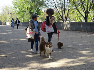 Illustration de l'article : Une Marche de l'Animal en ville pour remettre 10 propositions concrètes à l'Assemblée nationale